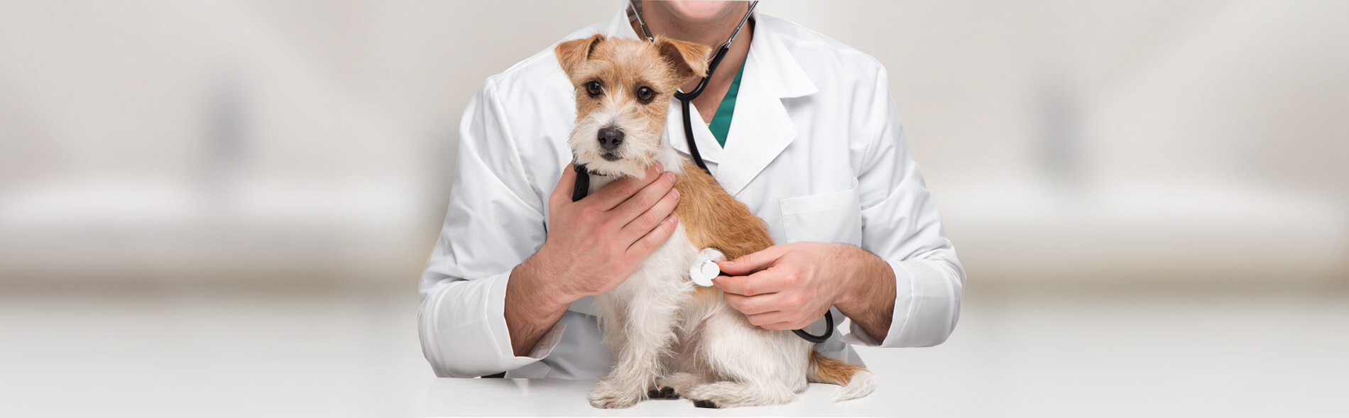 Doctor Holding a Dog