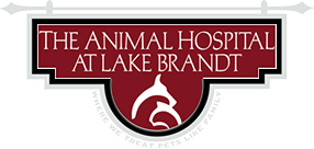 The Animal Hospital at Lake Brandt
